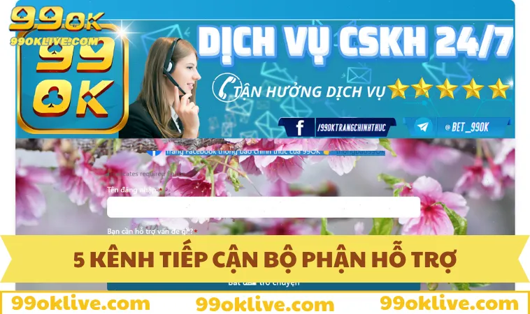 5 gợi ý hữu ích để tiếp cận bộ phận hỗ trợ