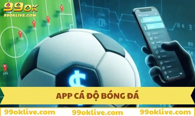 app cá độ bóng đá
