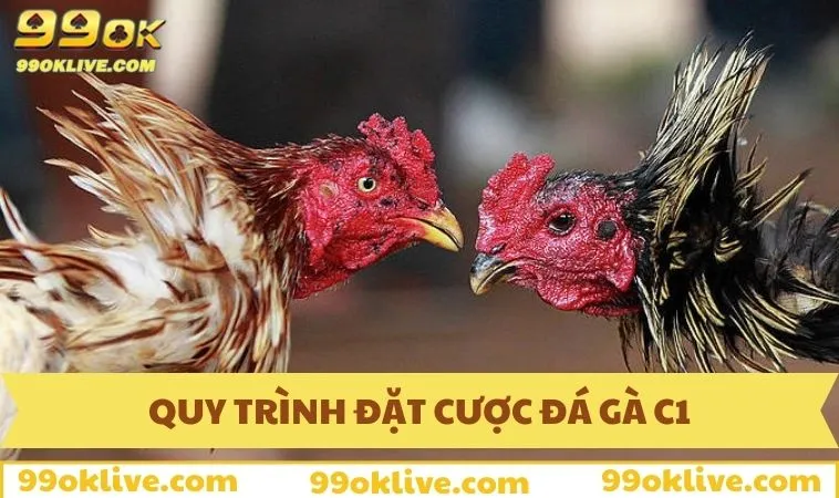 Đá Gà C1 - Mọi Điều Cược Thủ Cần Biết Trong Năm 2025 383 Quy trình đặt cược trận chọi gà cúp C1 hoàn chỉnh cho tân thủ