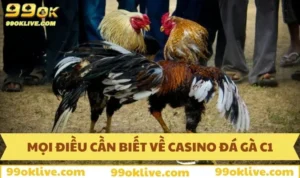 Đá gà C1