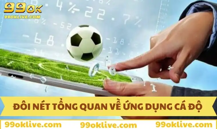 App Cá Độ Bóng Đá - Cách Tải Và Lợi Ích Khi Sử Dụng 344 Đôi nét tổng quan về ứng dụng cá độ bóng đá