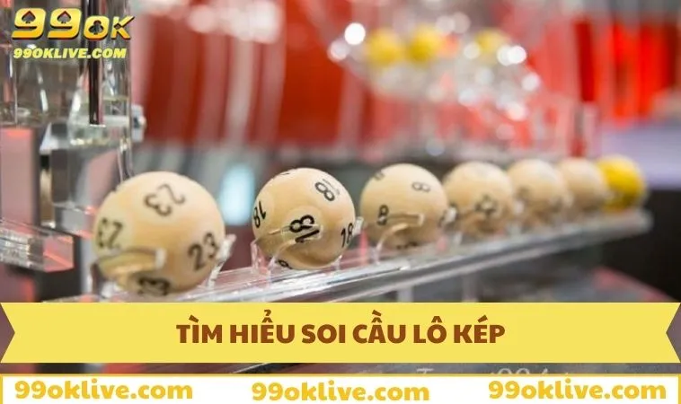 Tìm hiểu soi cầu lô kép